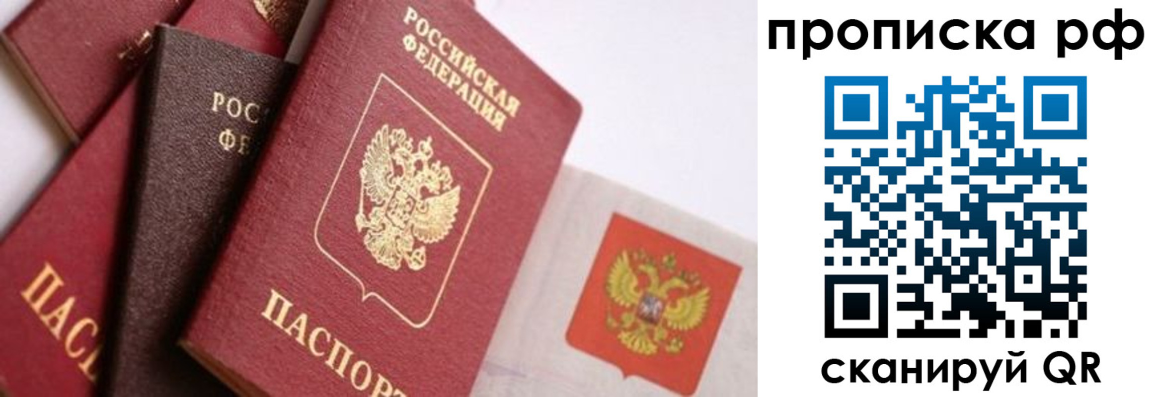 найти адрес прописки в Курске